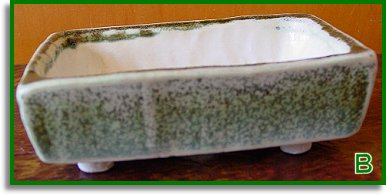 Bonsai Pot