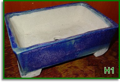 Bonsai Pot